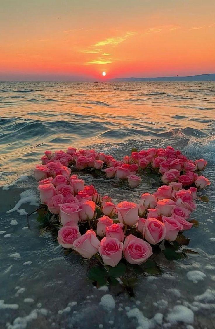 Corporate meeting room with carefully timed floral arrangements that maintain elegance throughout business hours